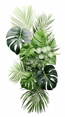Fototapeta na wymiar Green leaves of tropical plants bush