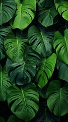Tropical green leaves isolated background