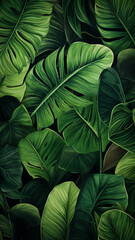 Tropical leaves frame isolated