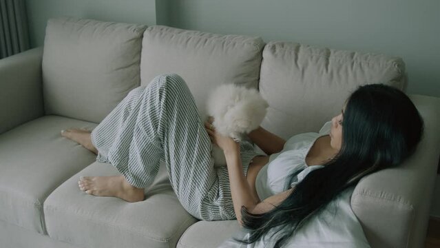Young thai woman petting cute little white spitz dog lying on the sofa in living room with modern interior