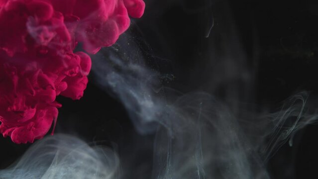 Pink Fluid Billowing into Solution with Smoky Effect