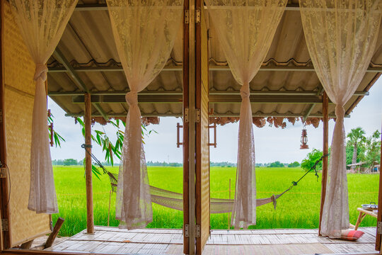 Green rice paddy fields in Central Thailand Suphanburi region