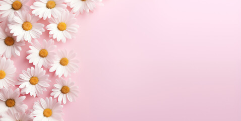 Fototapeta na wymiar White chamomile daisy flowers on a pale pink background with copy space, Floral background, Generative AI