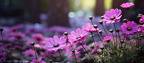 In the garden, amidst a sea of plants, a beautiful purple flower stood tall, captivating all with its natural beauty and vibrant color, a true masterpiece of spring's flora.