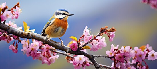 In Europe, during the summer, nature comes alive with the vibrant colors of spring, as birds and...