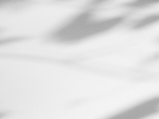 Shadow Effect Background Mockup Black Frame Reslistic Shade Gray Leaf Overlay Leaves Tree Tropic summer Plant Light White Floor Abstract Sunlight Backdrop Minimal Mockup 3d Bg Wall Nature Sun Scene.
