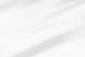 Shadow Effect Background Mockup Black Frame Reslistic Shade Gray Leaf Overlay Leaves Tree Tropic summer Plant Light White Floor Abstract Sunlight Backdrop Minimal Mockup 3d Bg Wall Nature Sun Scene.