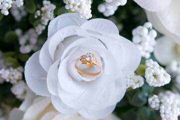 Gold wedding rings. Wedding bride and groom acceessories.