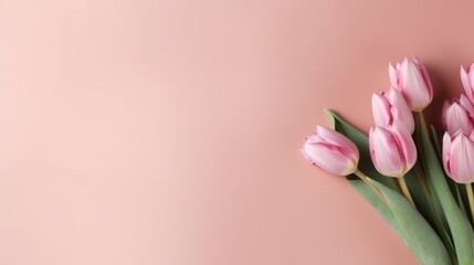 Pink Tulips on Pastel Background Spring Floral Arrangement
