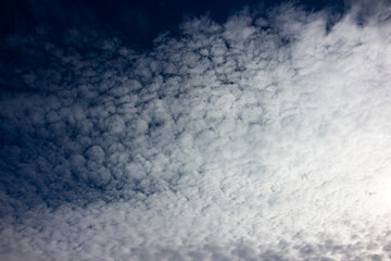 Blue sky covered with dense altocumulus clouds - obrazy, fototapety, plakaty