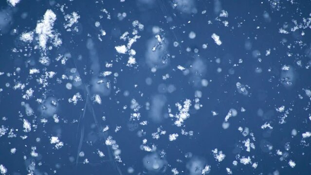 Macro shot of deep blue ice. small boubles, particles and ice crystals making a nice texture. Slow push-out movement.