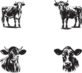 Vector cow and calf silhouettes on white background