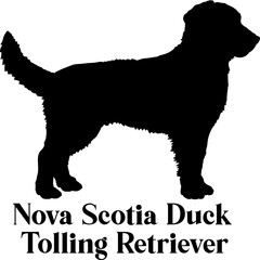 Nova Scotia Duck Tolling Retriever. Dog silhouette dog breeds logo dog monogram logo dog face vector