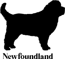 Newfoundland Dog silhouette dog breeds logo dog monogram logo dog face vector