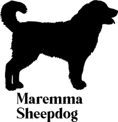 Maremma Sheepdog Dog silhouette dog breeds logo dog monogram logo dog face vector