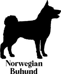 Norwegian Buhund Dog silhouette dog breeds logo dog monogram logo dog face vector
