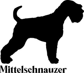 Mittelschnauzer Dog silhouette dog breeds logo dog monogram logo dog face vector