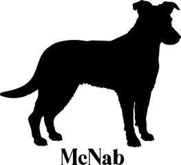McNab. Dog silhouette dog breeds logo dog monogram logo dog face vector