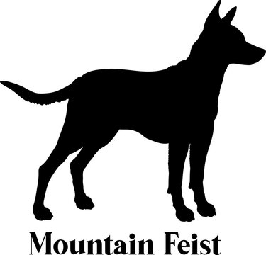 Mountain Feist Dog silhouette dog breeds logo dog monogram logo dog face vector