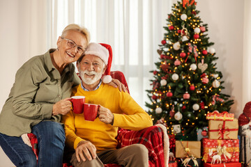 Obraz na płótnie Canvas A happy senior couple is enjoying christmas and new year holidays at home.
