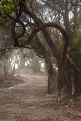 white crater, indonesia volcano, mountains