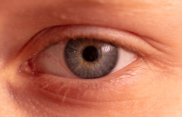 Close up of a blue eye. Macro