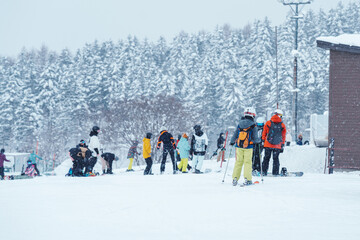 People playing Ski and Snowboard in winter season. Snow winter activity concept