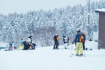 People playing Ski and Snowboard in winter season. Snow winter activity concept