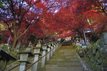 山寺の紅葉