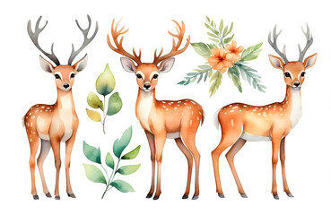 Naklejka na ściany i meble set of watercolor cute safari deer isolated on transparent background