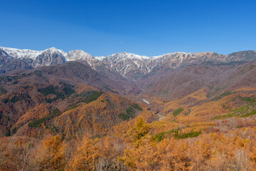 白馬マウンテンハーバーからの紅葉