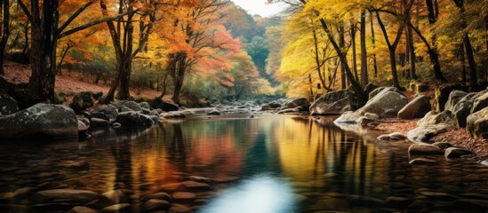In Europe, during the beautiful autumn, he traveled to a green mountain landscape, where a road led through a forest of vibrant trees, reflecting in the water of a serene park, showcasing the - obrazy, fototapety, plakaty