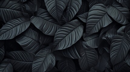 Detailed textures of abstract black leaves arranged in a flat lay composition, perfect for your...
