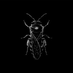 Ivy Bee hand drawing vector isolated on black background.