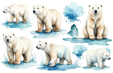 set of watercolor cute safari polar bear isolated on transparent background