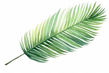 Obraz premium Watercolor palm leaf isolated on white background. AI generative
