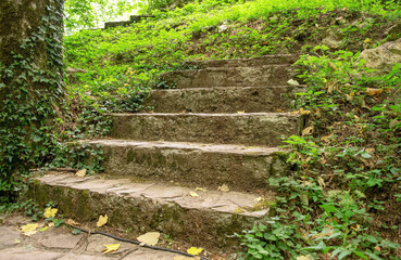 Old ancient stone stairs in a forest nature. Steps among green grass, plants outdoors. No people