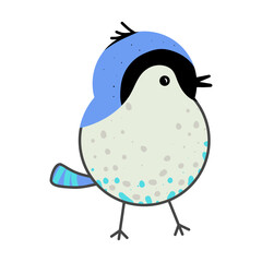 vector hand drawn of bird, vector illustration art