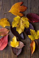 Naklejka na ściany i meble flat lay of vibrant fall leaves against a wood background