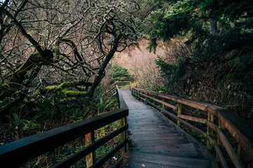Boardwalk to Indian beach in Ecola State Park Oregon