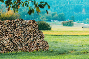 Heap of neatly stacked chopped firewood stands in the farm's backyard, poised for the approaching...