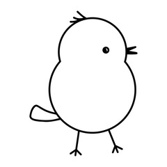 vector hand drawn of bird, vector illustration art