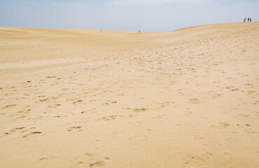 The Jockey's Ridge State Park in North Carolina