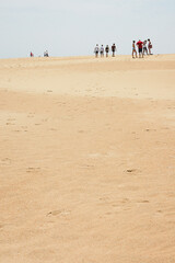 The Jockey's Ridge State Park in North Carolina