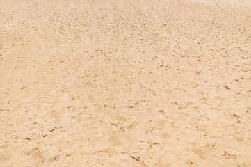 The Jockey's Ridge State Park in North Carolina