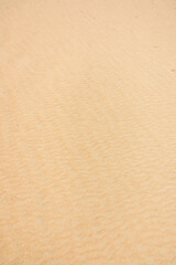 The Jockey's Ridge State Park in North Carolina