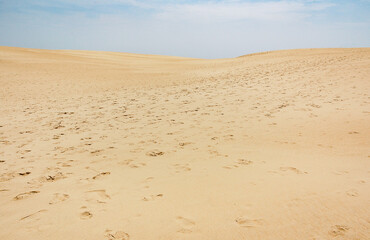 The Jockey's Ridge State Park in North Carolina