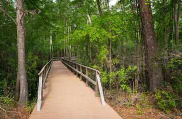 A Boardwalk at Moores Creek National Battlefield, NPS Site