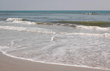 The Beach at the Outer Banks Island in North Carolina