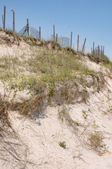 A Fence at Outer Banks Island in North Carolina